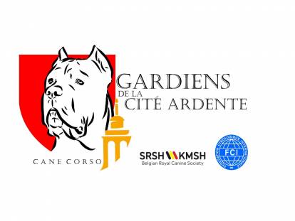 Gardiens de la Cité Ardente