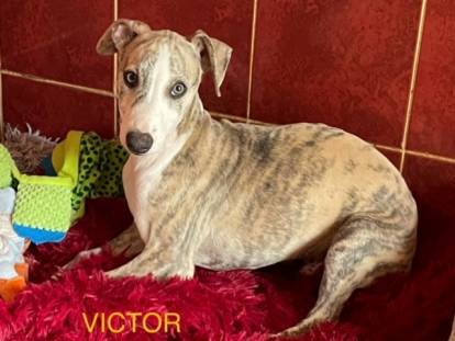 Du Domaine de Peyrazet