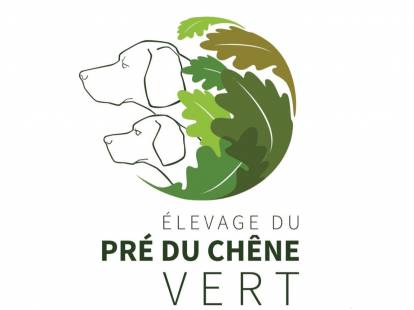 Du Pré du Chêne Vert