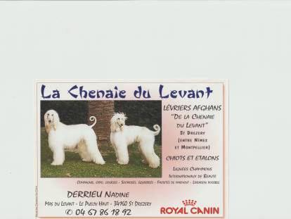 De La Chenaie Du Levant