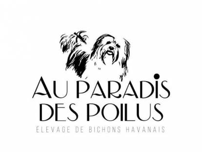 Au Paradis des Poilus