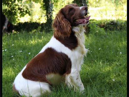 Du Domaine Charlésien