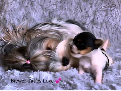 Tatie Nathalie Biewer