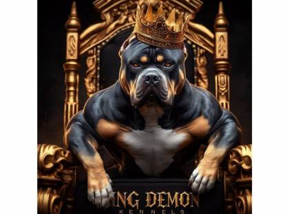 King Demon Kennels