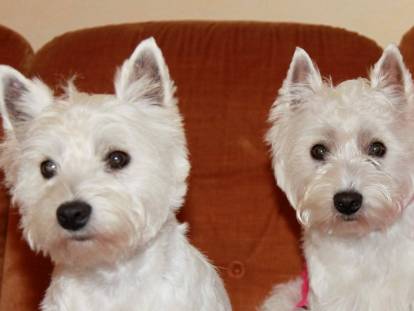 La Ferme Arédienne des Salines