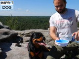 Test : la gamelle rafraîchissante pour chien