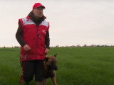 Pistage : la discipline qui valorise le flair du chien