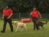 La délégation belge pour le championnat du monde de chiens de sauvetage 2016 en Roumanie