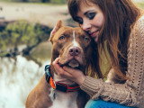 Les démarches à effectuer après avoir adopté un chien