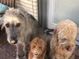 Le beurre de cacahuète, un délice !