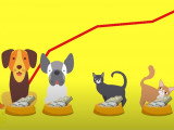 Que contiennent les aliments pour animaux ?