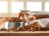 Toutes sortes de croquettes pour chien sur une table