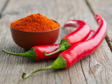 Peut-on donner du piment à un chien ?