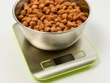 Une gamelle de croquettes pour chien posée sur une balance
