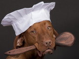 Un chien avec une toque de cuisinier et une cuillère en bois