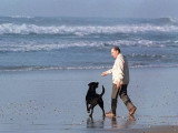 Nil et Baltique, les chiens du Président François Mitterrand