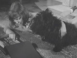« The President's Dog », un reportage d'époque sur Fala, le chien de Franklin D. Roosevelt