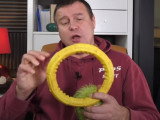 Comment faire qu'un chiot ne mord que ses jouets