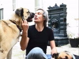Conseils pour comprendre son chien