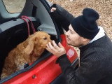 Comment calmer un chien agressif en voiture