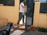 Une vie sans stress et sans cri avec son chien
