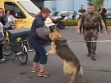 Les facteurs se forment pour éviter les morsures de chiens