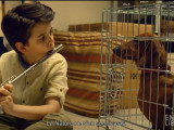 « Wiener-Dog » (2016), une comédie à l’humour grinçant