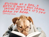 Les citations sur les chiens