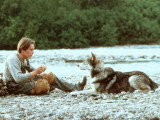 Une scène du film « Croc-Blanc » (1991)