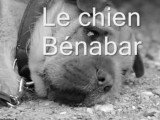 La chanson « Le Chien » de Bénabar (1997)
