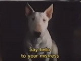 Bande-annonce du film « Baxter » (1989)