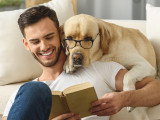20 livres pour les amoureux des chiens