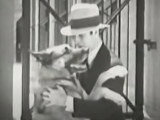 Le Berger Allemand Strongheart dans « The Return of Boston Blackie » (1927), film complet