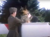 Bande-annonce du film « Chips, the War Dog » (1990)