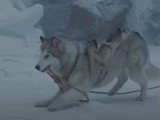 Compilation de scènes de « Antarctica, prisonniers du froid »