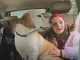 Bande-annonce de « Le chien qui a sauvé les vacances de Noël » (2010)
