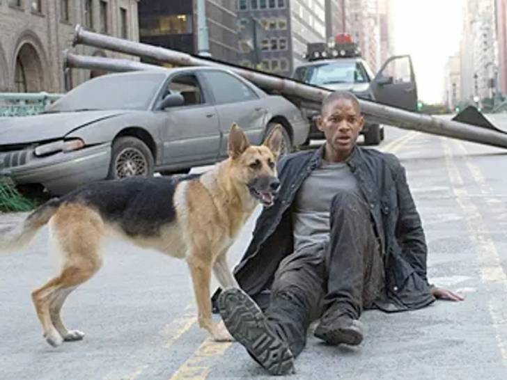 Robert Neville et son chien Sam dans le film « Je suis une légende » (2007)