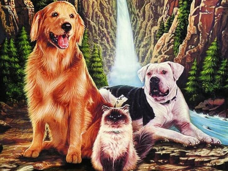 Shadow, Sassy et Chance sur l'affiche du film « L'incroyable voyage »