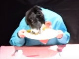 Un chien presque humain mange au restaurant
