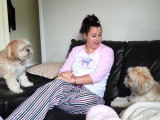 Deux Lhassa Apso qui ont visiblement très faim