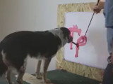 Un chien peintre à l'incroyable talent