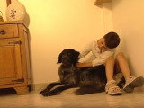 Comment être un bon maître pour son chien ?