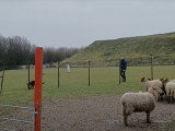 Entraînement de Filas de Sao Miguel