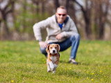 Comment devenir un bon maître pour son chien ?