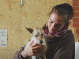 Un refuge pour accueillir les animaux en détresse