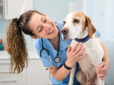 Une femme vétérinaire sourit et joue avec un chien