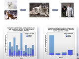 La relation chiens-humains au Nunavik : avantages, risques…