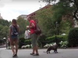 Une fillette et un chien : lequel sera secouru en premier ?