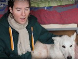 Un massage pour calmer son chien