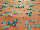 Schéma montrant des microbes sur la peau